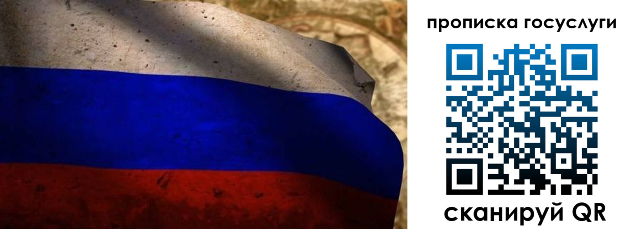 миграционный учет в Димитровграде